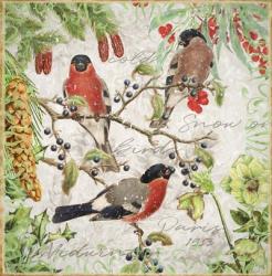 Winter Birds Bullfinches | Obraz na stenu
