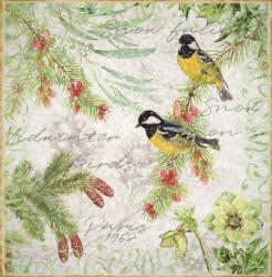Winter Birds Great Tits | Obraz na stenu
