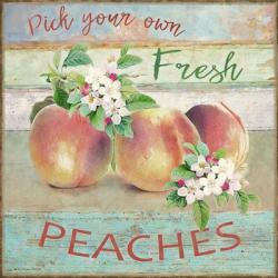 Farmers Market Peaches | Obraz na stenu