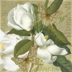 Paris Magnolia's in Spring II | Obraz na stenu