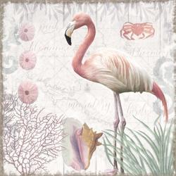 Waders I Flamingo | Obraz na stenu