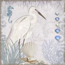 Waders II Little Egret | Obraz na stenu