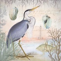 Waterside Birds I | Obraz na stenu