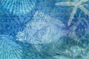 Blue Ocean Fish | Obraz na stenu