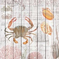 Crabs on Driftwood Panel | Obraz na stenu