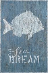 Seabream on Blue | Obraz na stenu