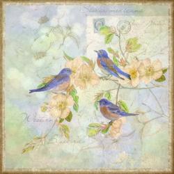 Blue Birds on Blossem Branch | Obraz na stenu