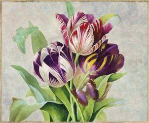 Bouquet Tulips I | Obraz na stenu