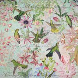 Hummingbird Arabesques | Obraz na stenu
