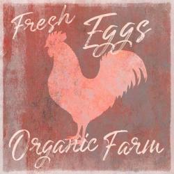 Organic Farm Rooster | Obraz na stenu