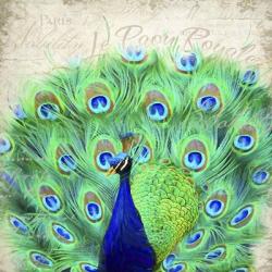 Royal Peacock | Obraz na stenu
