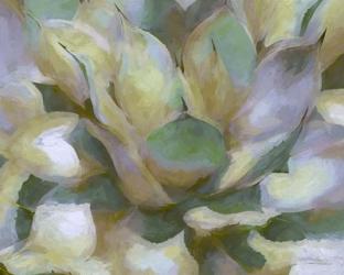 Agave Forms II | Obraz na stenu