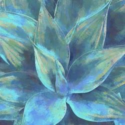 Agave Forms III | Obraz na stenu