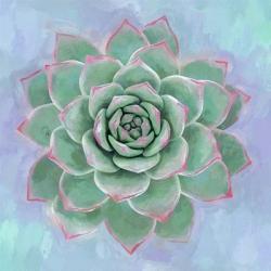 Succulent Painting | Obraz na stenu