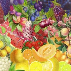 Rainbow Fruits | Obraz na stenu