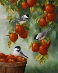 Apple Harvest Chickadees | Obraz na stenu
