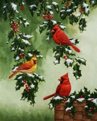Cardinals Hollies with Snow | Obraz na stenu