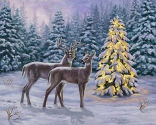 White-tail Christmas | Obraz na stenu