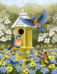 Bluebird Garden Home | Obraz na stenu
