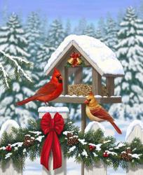 Cardinals Christmas Feast | Obraz na stenu