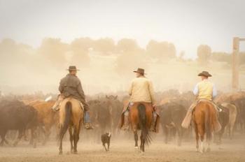 Cowboys Best Friend | Obraz na stenu