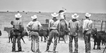 Teaching the Guys | Obraz na stenu