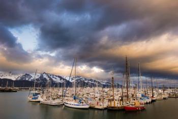 Alaska Harbor | Obraz na stenu