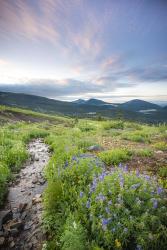 Crested Butte Stream | Obraz na stenu