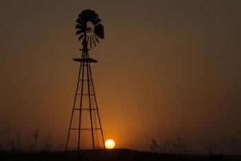 Waiting For Wind | Obraz na stenu