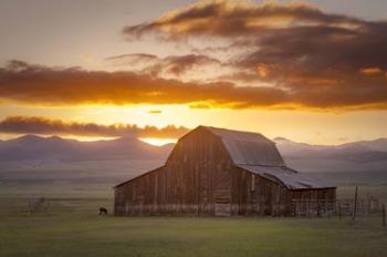 Wet Mountain Barn II | Obraz na stenu