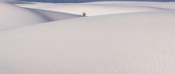 White Sands | Obraz na stenu