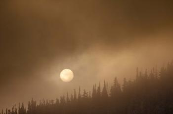 Wild Moon II | Obraz na stenu