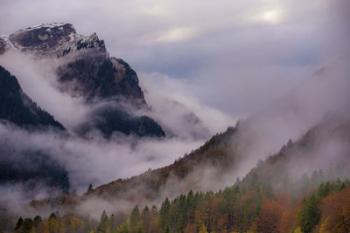 Mountain Fog | Obraz na stenu