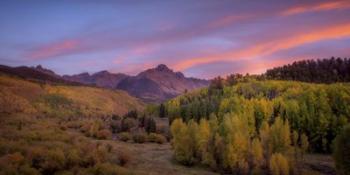 Foliage Sunset | Obraz na stenu