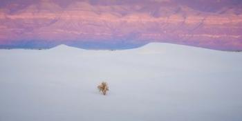 Salt Dunes | Obraz na stenu