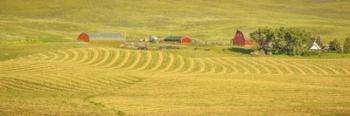 Farm Panorama | Obraz na stenu