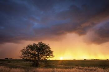 Stormy Sunset | Obraz na stenu