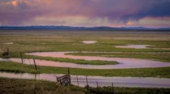 Serpentine River | Obraz na stenu