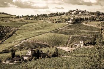 Tuscany Vineyard | Obraz na stenu