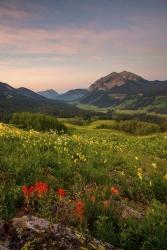 Wild Flowers I | Obraz na stenu