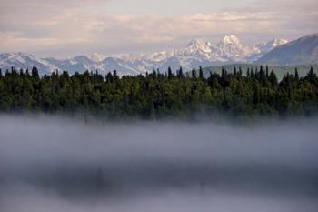 Fog | Obraz na stenu