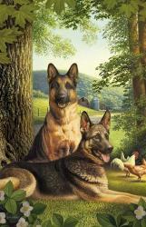 German Shepards/Chicken | Obraz na stenu