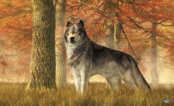 A Wolf In Autumn | Obraz na stenu