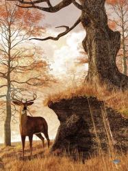 Autumn Buck | Obraz na stenu