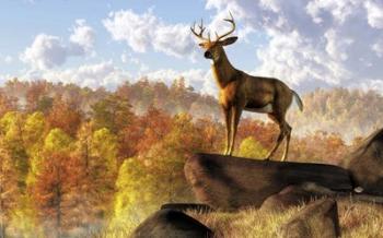 Buck Over Autumn Valley | Obraz na stenu