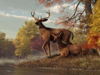 Deer On An Autumn Lakeshore | Obraz na stenu