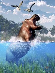 Lunging Hippo | Obraz na stenu