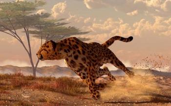 Speeding Cheetah | Obraz na stenu
