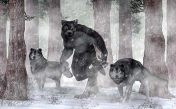 Werewolf And Wolves | Obraz na stenu