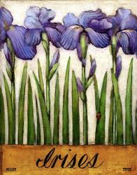 Irises | Obraz na stenu